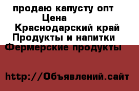 продаю капусту опт › Цена ­ 10 - Краснодарский край Продукты и напитки » Фермерские продукты   